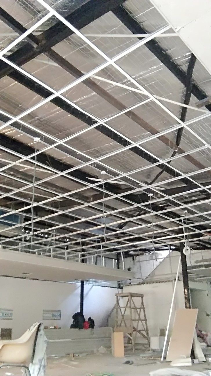 Ceiling Repair & Restoration